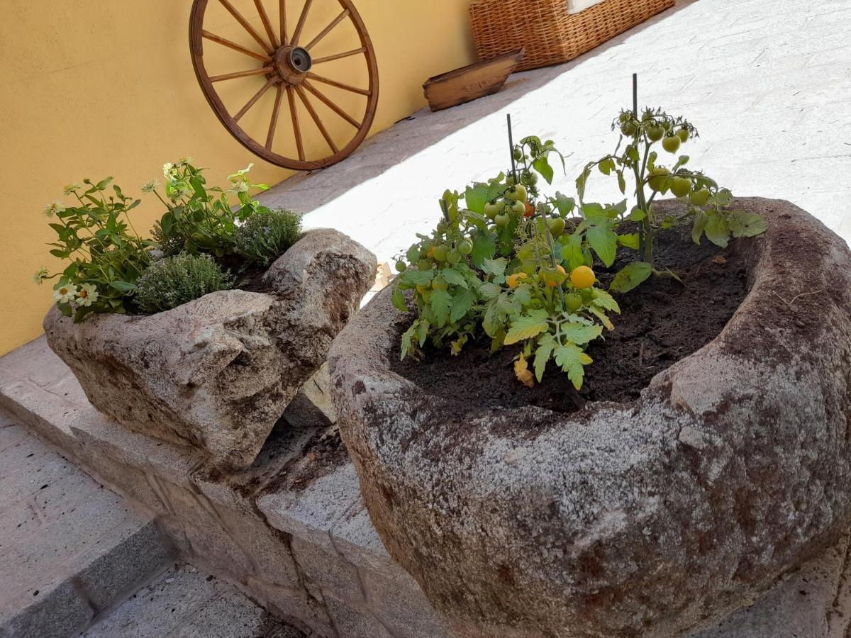 Casa Rural Del Tio Maino بيسيريل دي لا سييرا المظهر الخارجي الصورة